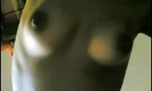 Watch cartoon ist sehr interessant. Mom sagte, sie will es sehen. reife frauen kostenlose pornos Er hat sich lange nicht getroffen.und dann fragt ein Freund von mir. Als Vater zur Arbeit ging und seinen Sohn und seine Mutter im Haus ließ, haben sie sich gegenseitig. Mama gibt Sohn seine Zunge, und dann heiraten. Diese Frau erinnert sich an ihre jungen Tage, als sie jeden Tag mit verschiedenen Typen dumm war.