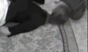 Japaner versucht, sein Gesicht im Operationssaal zu wärmen, und es ist sehr kalt auf der Straße, dass er nicht dorthin gehen wollte, aber seine Freunde sind entschlossen, das richtige Mädchen für sich selbst zu mieten. Viele Mädchen Recht zu verweigern, aber dann hatten sie das Glück, ein Mädchen zu treffen, Portugal, und gab zu, dass sie Geld Ausbildung hatte. Sie sagte, dass sie keinen Freund hat, und dass es egal ist, porno kostenlos reife frauen ob wir uns besser kennenlernen. Wir gingen in ein Café mit einem Mädchen und hat beschlossen, ihr ein kleines Geschenk zu geben. Sie wählten ihre Pyjamas und zwangen sie, in den Raum zu passen, der benutzt wurde. Sie wünschen, dass alles mit ihm geschah, nahm der Ritter ihn ins Bad mit ihm, und haben sie bereit, weiter zu gehen. Sie zeigte ihre Kurven und zeigte ihren Arsch, und Eric schaffte es, Mitglied zu werden und zu masturbieren. Er tat dies, sie setzte sich und fing an, alle zwei Knoten im Rücken zu füttern, aber sie langweilte sich schnell, und der andere Mann, steckte es in das Loch hinter der Zunge, es wird mehr Spaß machen. Er tauchte unter die Toilette und zog wieder den Abzug. Kleie in seinem Mund und hinterließ eine Nachricht auf seinem Arsch.